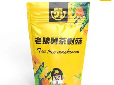 茶樹(shù)菇