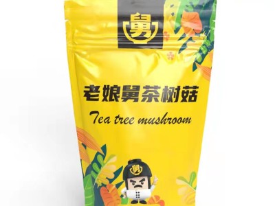 茶樹(shù)菇